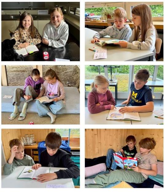 Bild IV