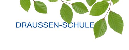 Logo Draussenschule